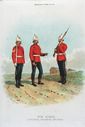 King_s_Regiment_28Liverpool292C_1891.jpg